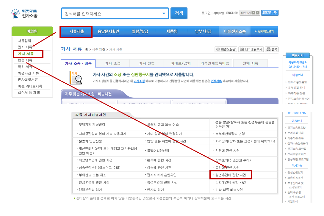 성년후견 신청화면(전자소송)