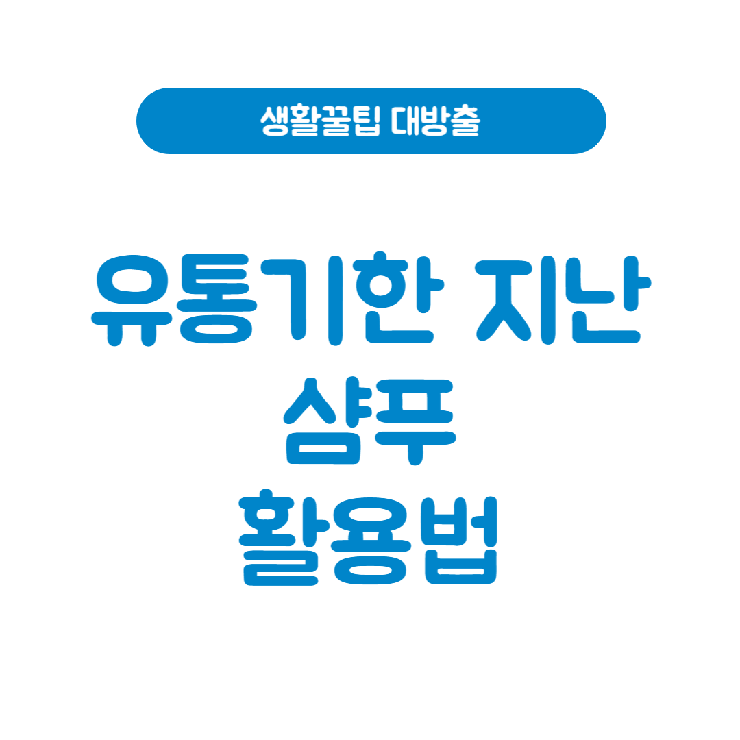유통기한 지난 샴푸 활용법