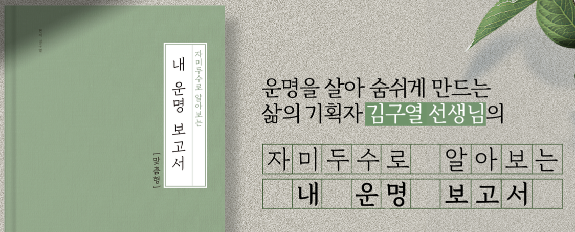 031 김사주 자미두수 사이트