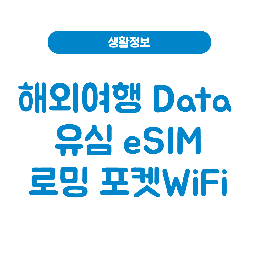 해외여행 데이터 연결 완벽 가이드 유심 eSIM 로밍 포켓 와이파이