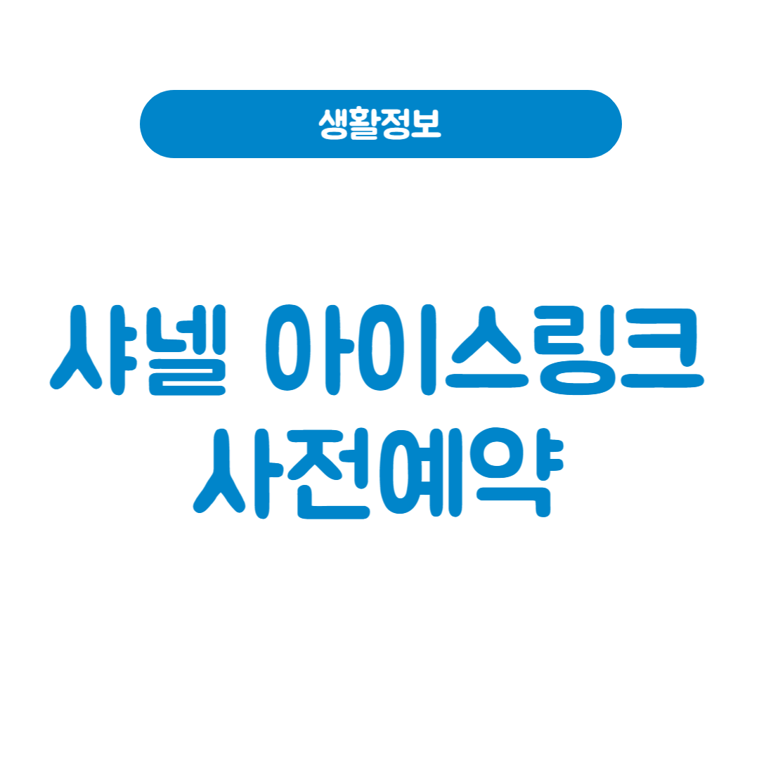 샤넬 아이스링크 사전 예약 방법 및 주의사항