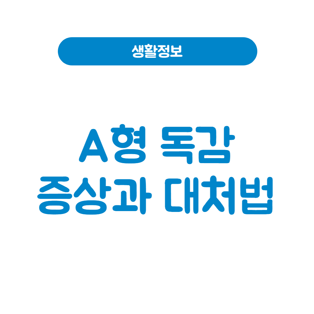 A형 독감 증상과 대처법│빠른 회복을 위한 가이드