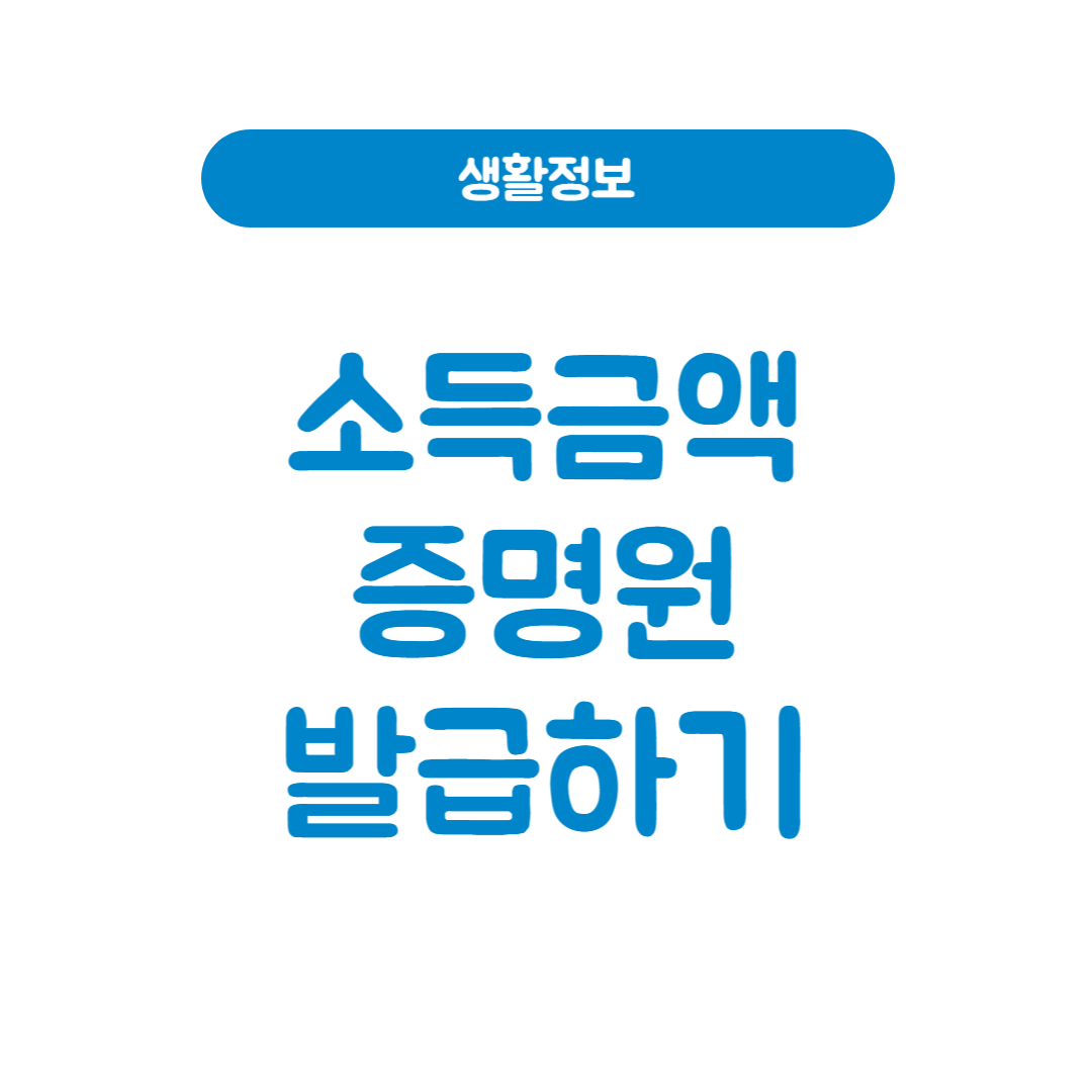 소득금액증명원 발급