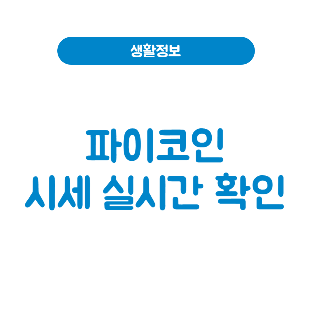 파이코인 시세 실시간 확인법과 가격 흐름 총정리