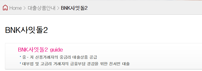 009 BNK저축은행 사잇돌2