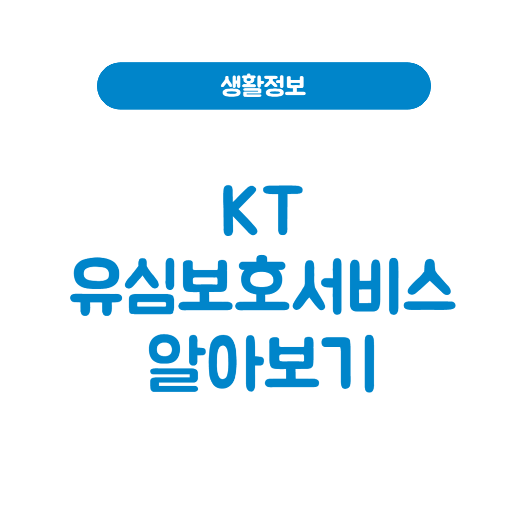 KT유심보호서비스