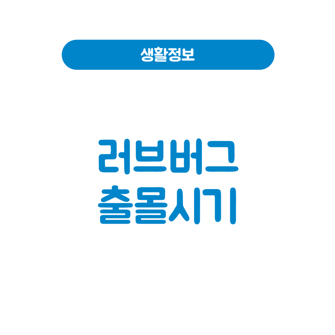 러브버그출몰시기 | 언제 나타나고 어떻게 대비할까?