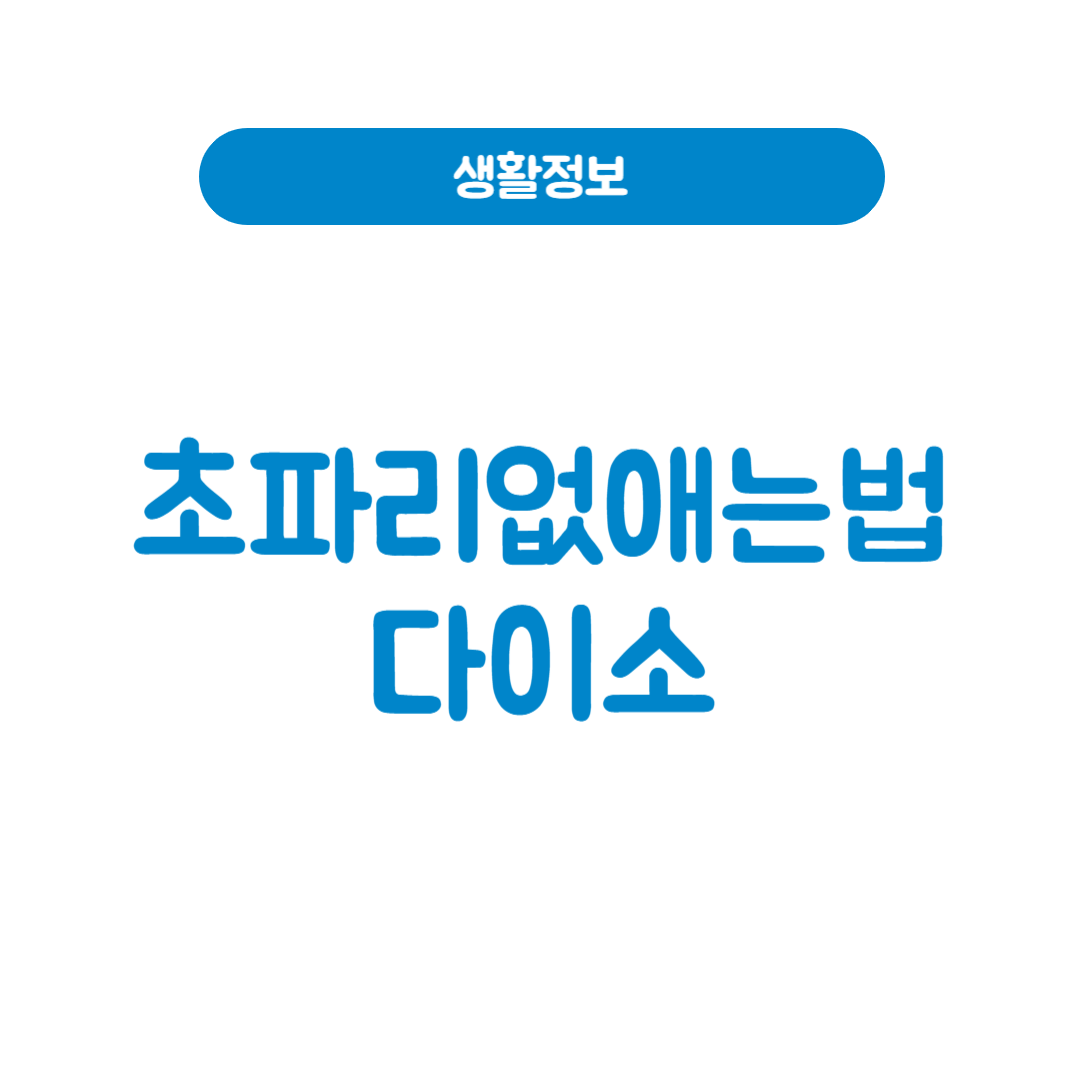 초파리없애는법다이소