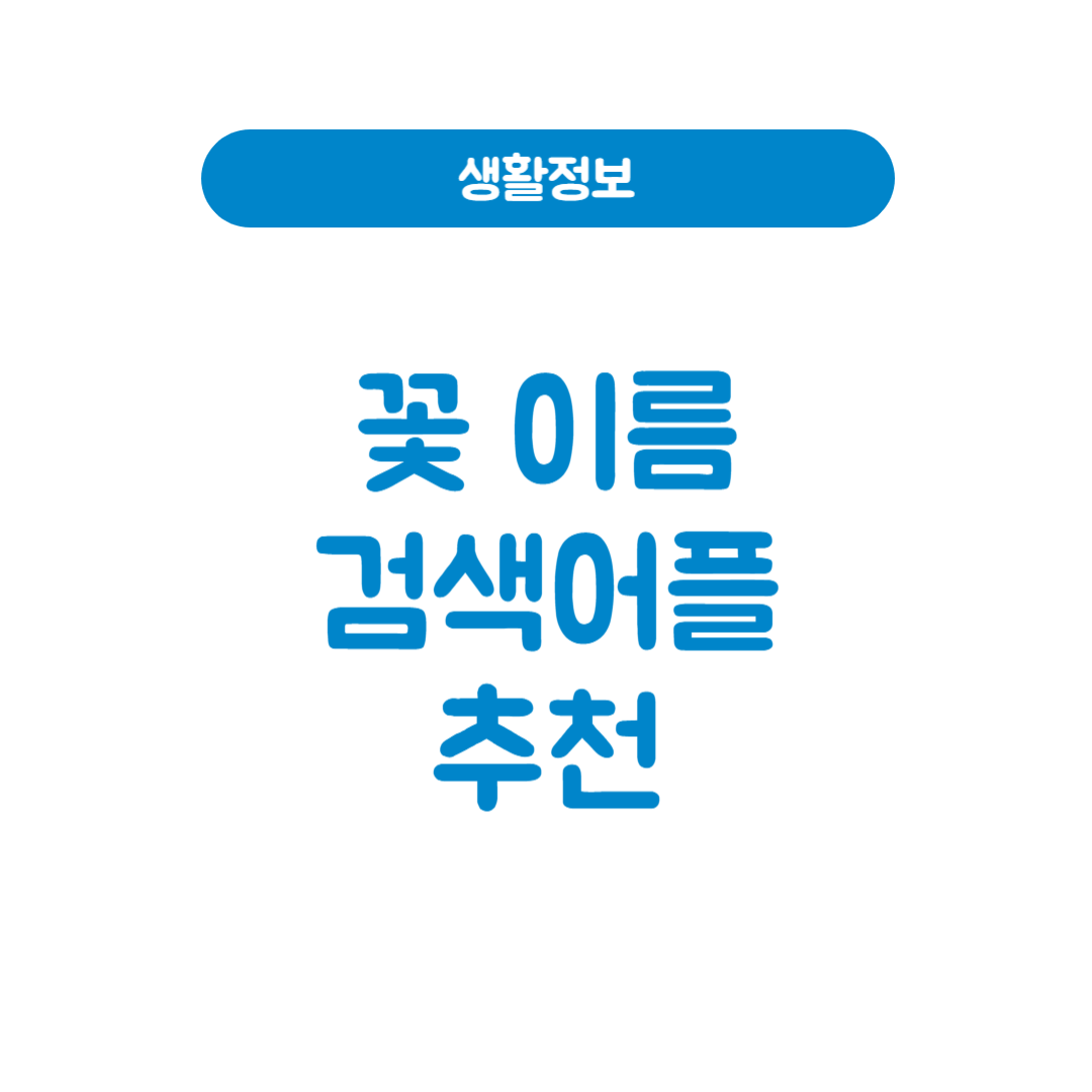 꽃 이름 검색 어플 추천｜카메라만 켜면 바로 찾는 꽃 이름 검색 방법