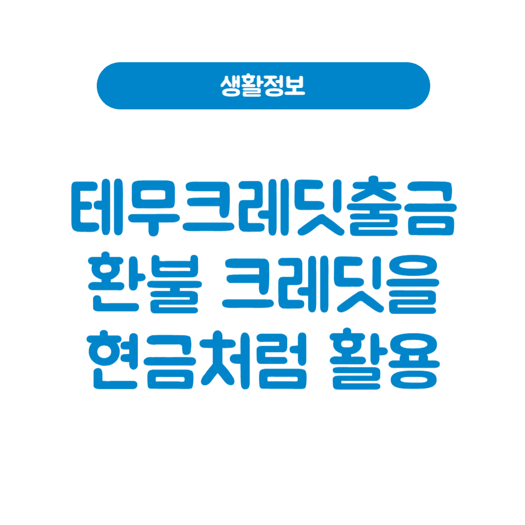 테무크레딧출금