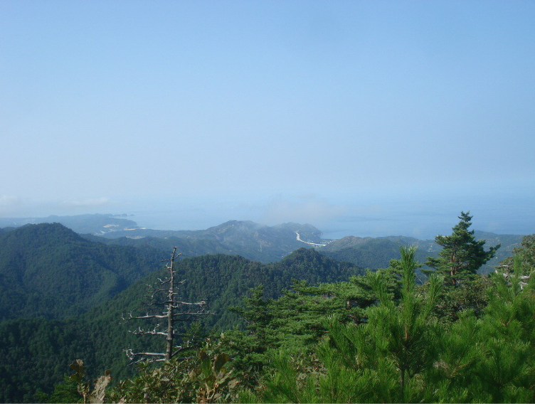 검봉산자연휴양림