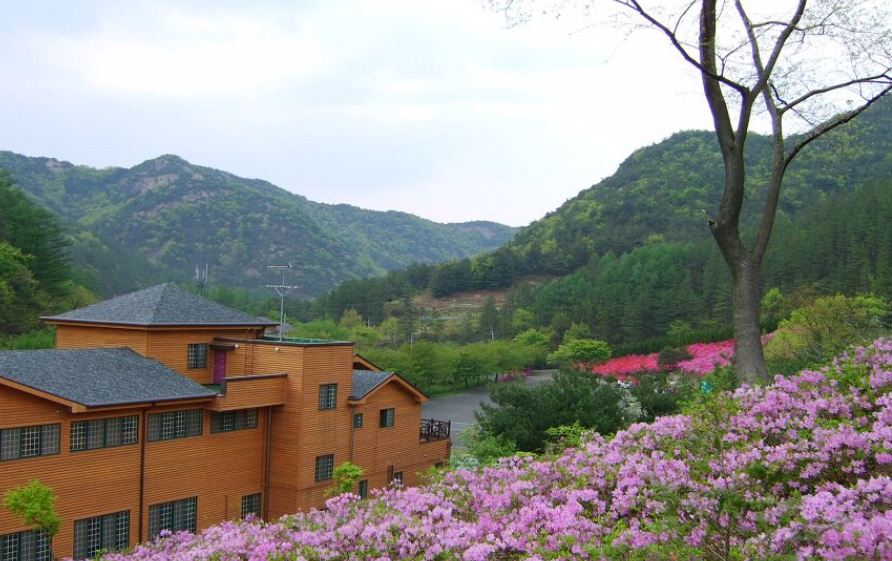 고산자연휴양림