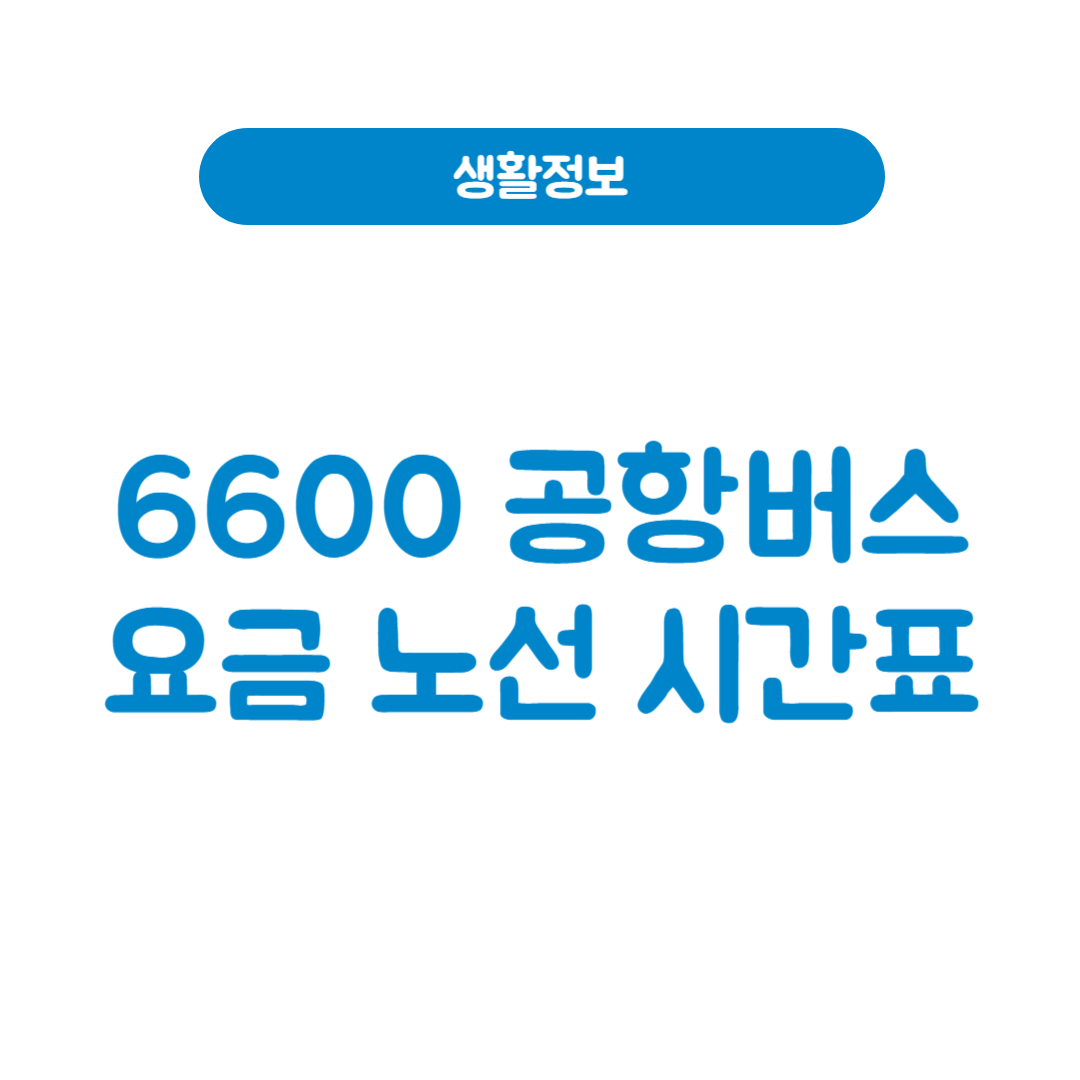 6600번 공항버스