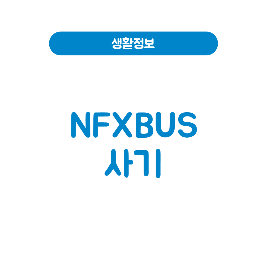 NFXBUS사기