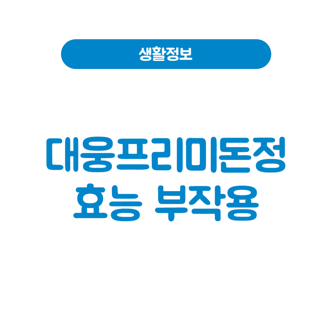 대웅프리미돈정