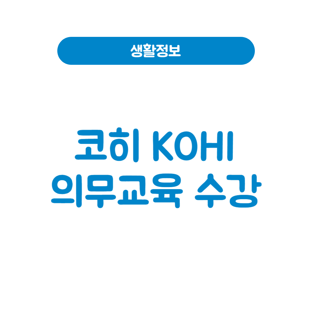 kohi 코히 의무교육
