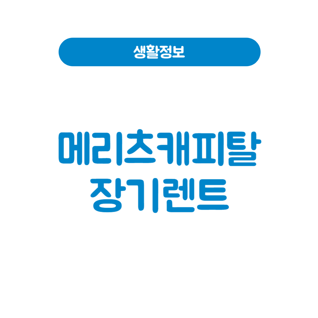 메리츠캐피탈 장기렌트