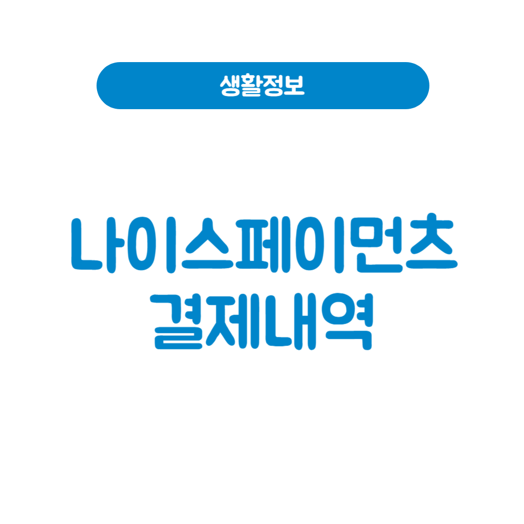 나이스페이먼츠 결제내역