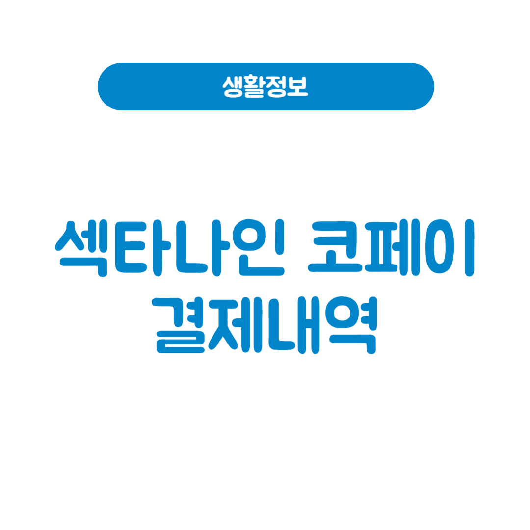 섹타나인 코페이 결제내역