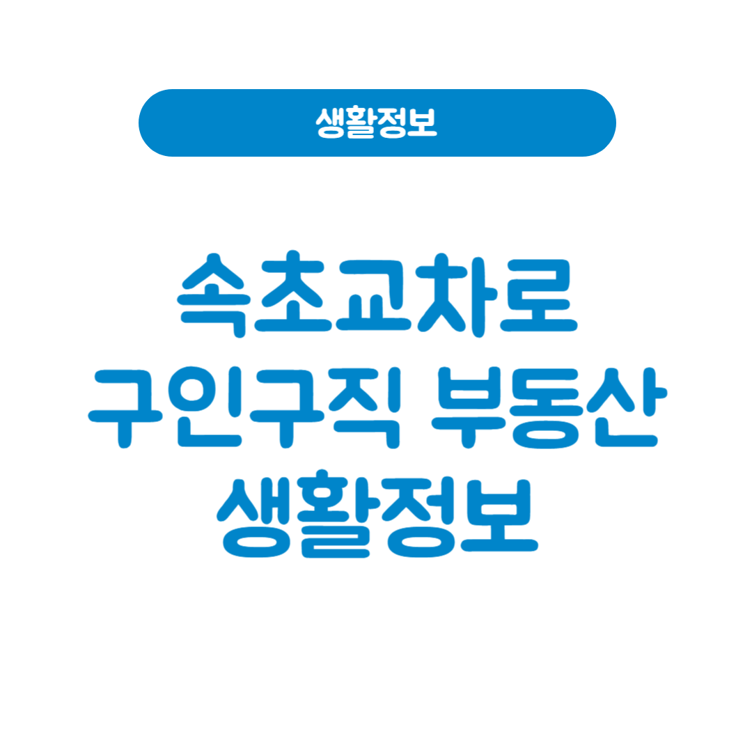 속초교차로구인구직