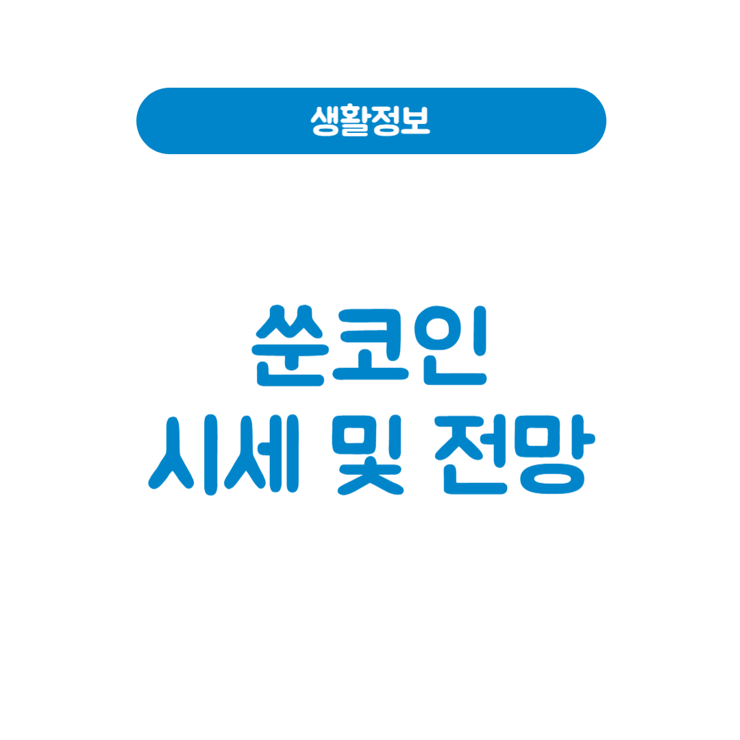 쑨코인 시세 및 전망