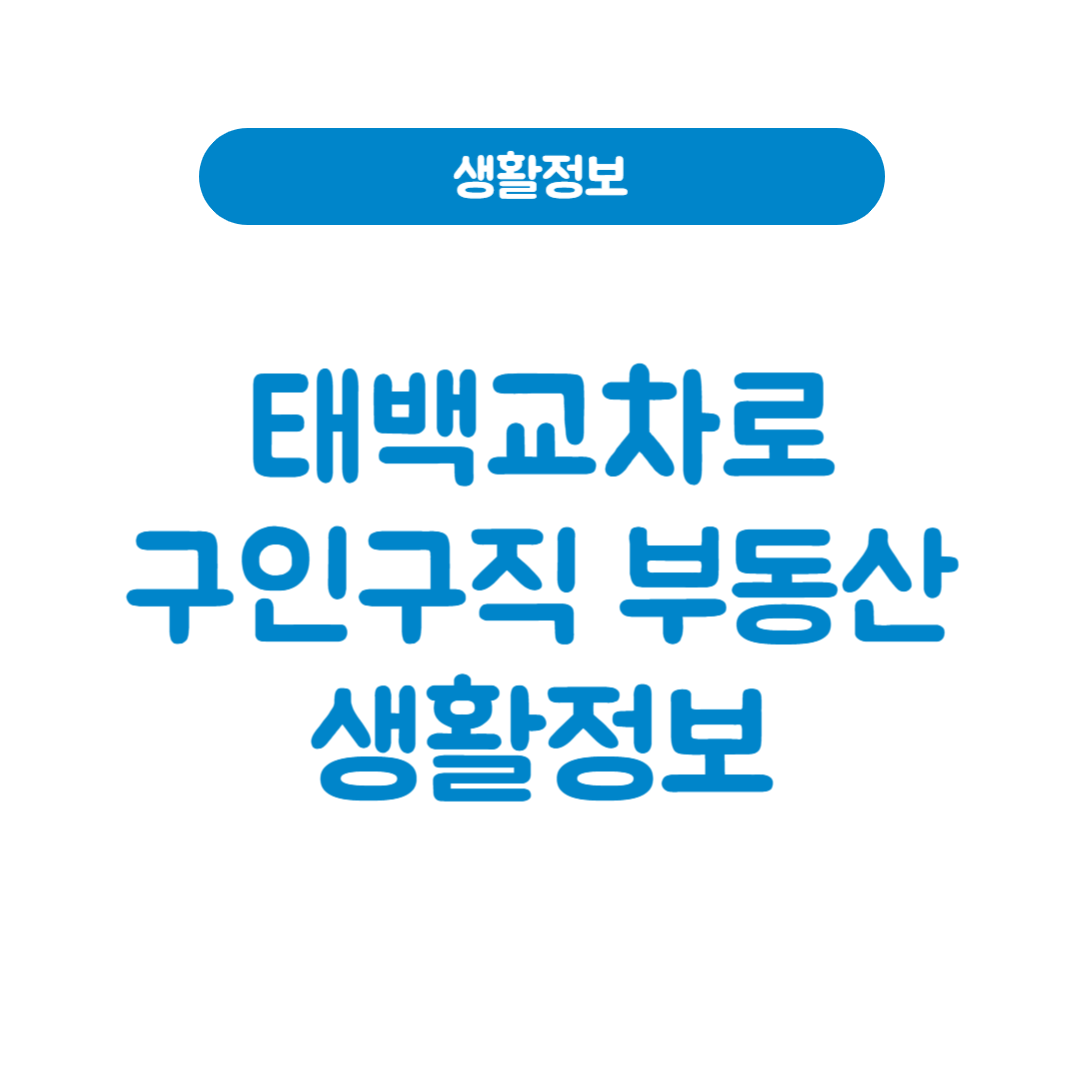 태백교차로구인구직