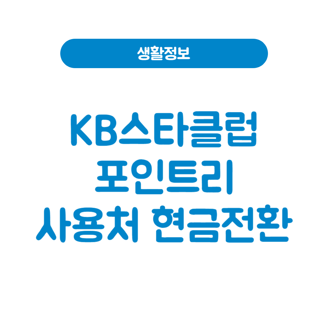 KB스타클럽포인트리