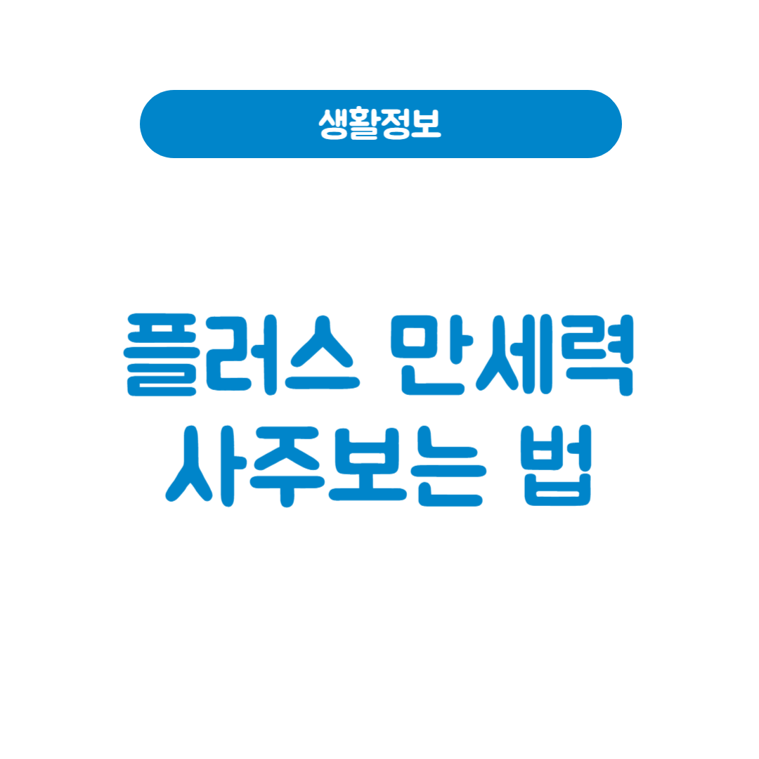 플러스 만세력