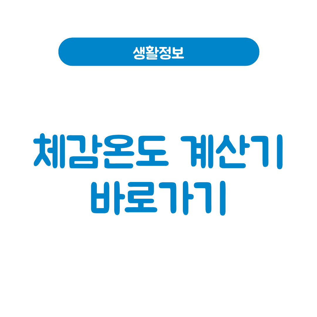 체감온도 계산기