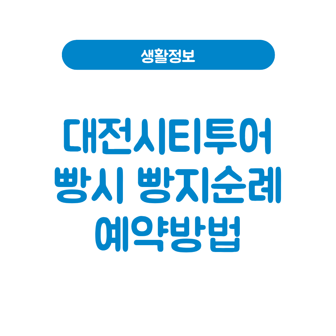 대전시티투어