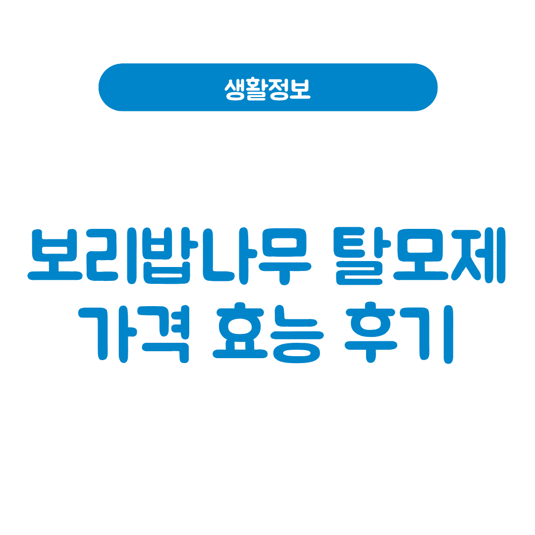 보리밥나무 탈모제