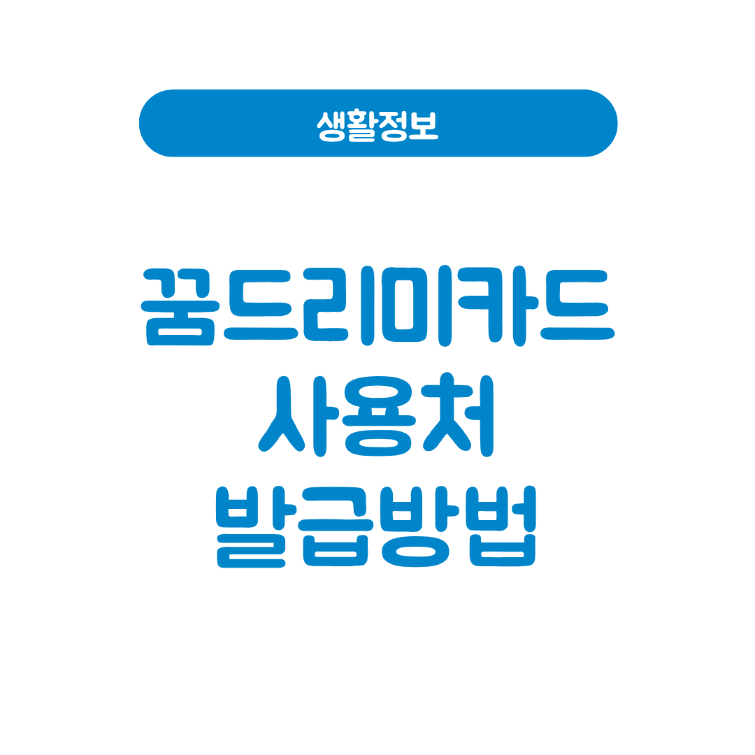 꿈드리미카드 사용처