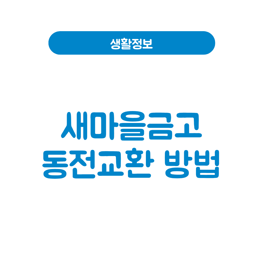 새마을금고 동전교환
