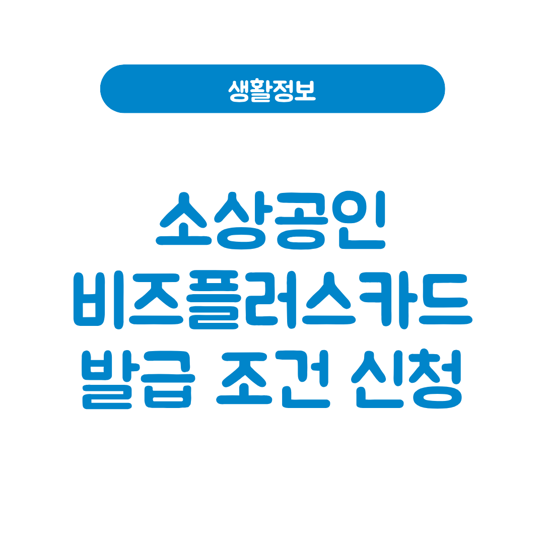 소상공인 비즈플러스카드