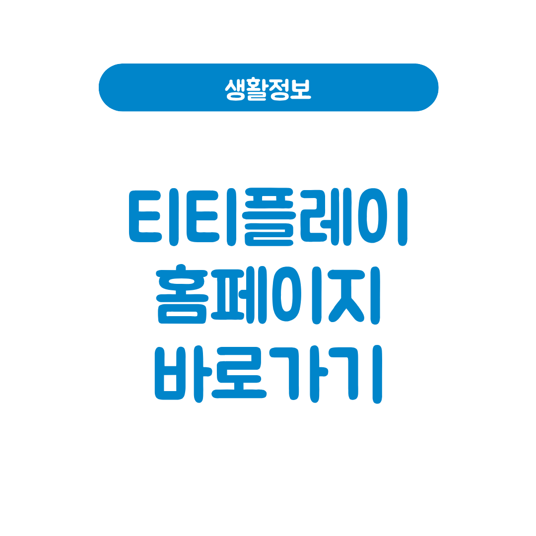 티티플레이