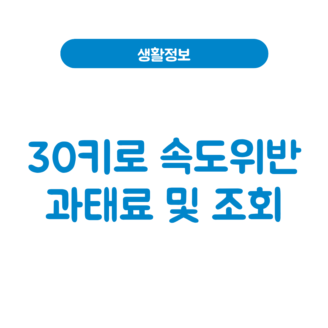 30키로 속도위반