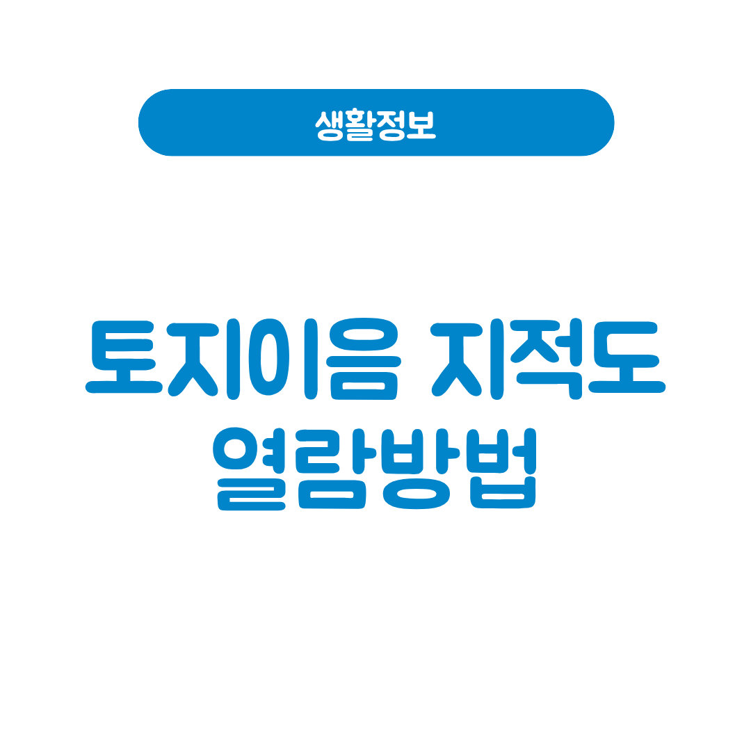토지이음 지적도