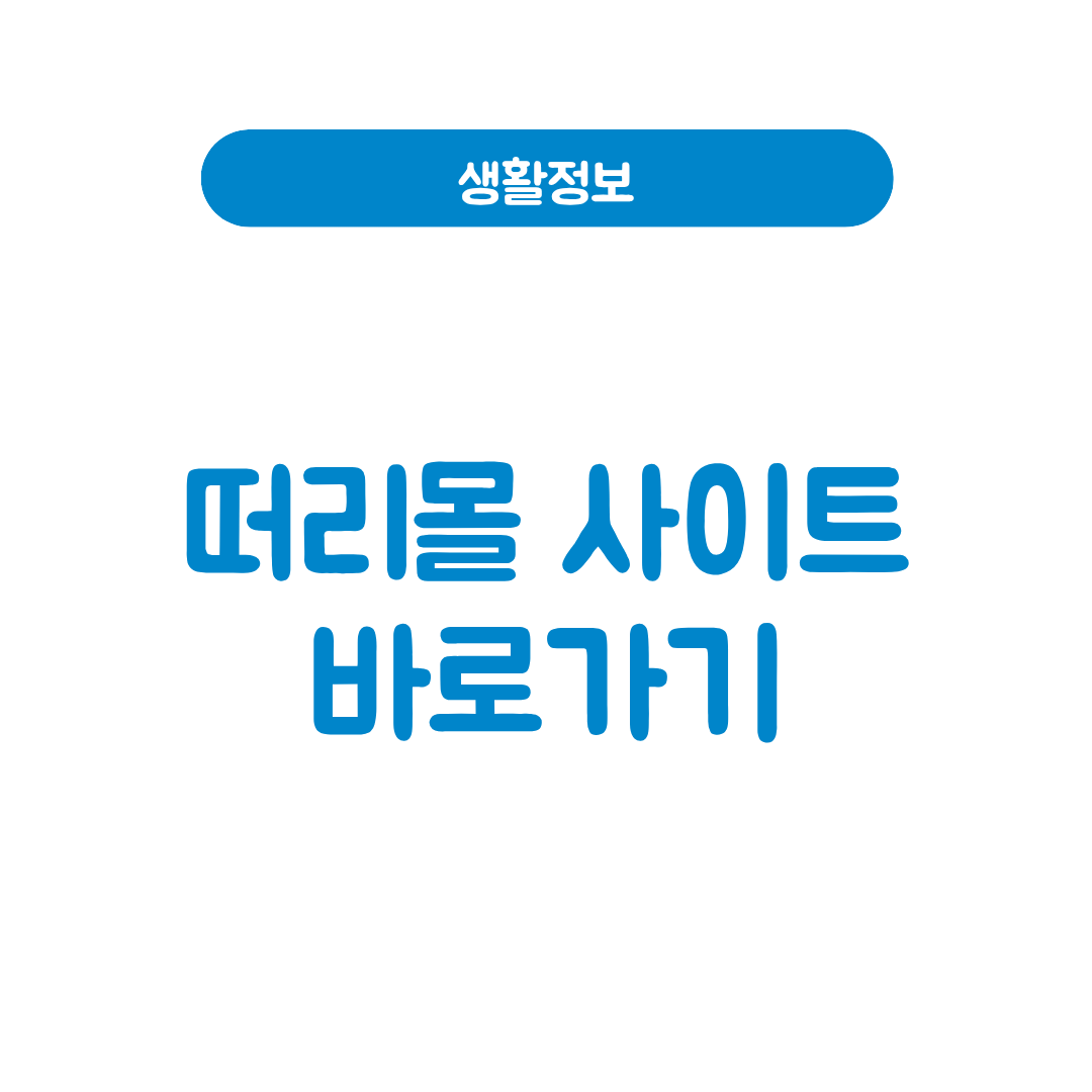 떠리몰 사이트
