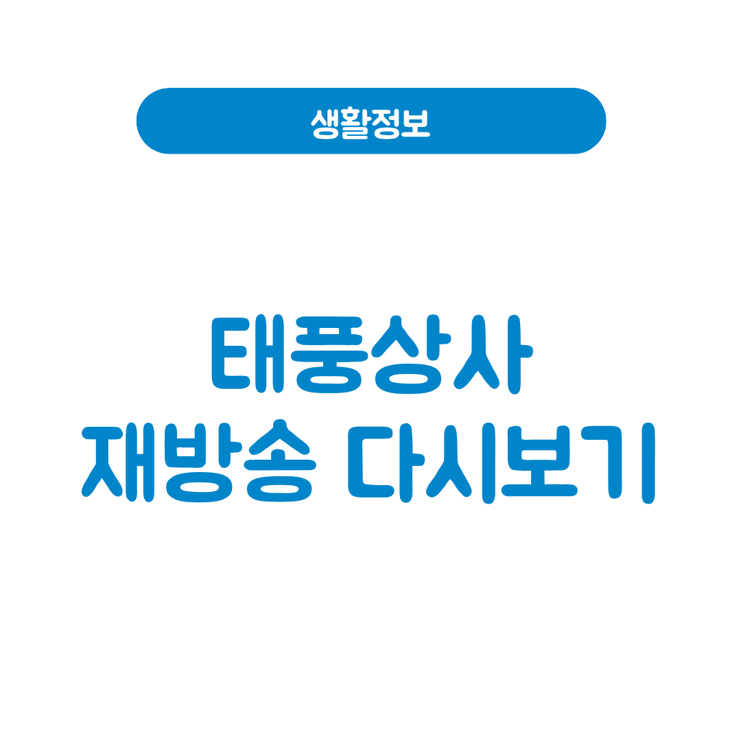 태풍상사 재방송