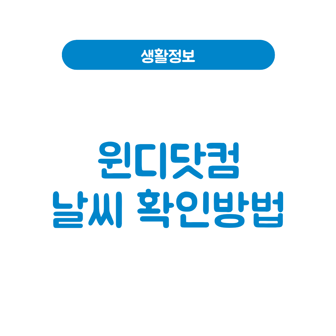 윈디닷컴
