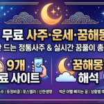운세·사주·꿈해몽 무료로 보는 사이트 모음 운세
