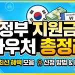 정부 지원금·바우처 신청방법 모음 (전체 총정리) 신청