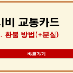캐시비 환불 방법 총정리(+카드 분실 시 환불 가능할까?) 캐시비 환불