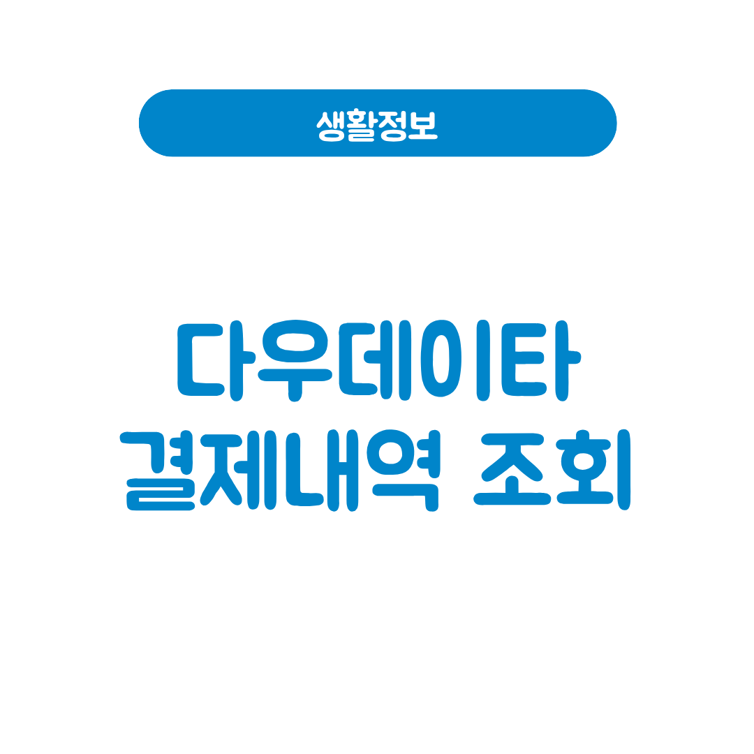 다우데이타 결제내역