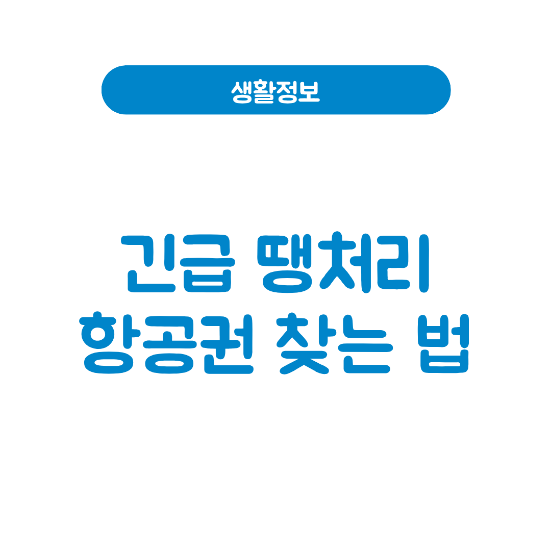 긴급 땡처리 항공권
