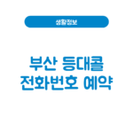 부산 등대콜 전화번호와 택시 부르는법, 예약·가격 안내 부산 등대콜
